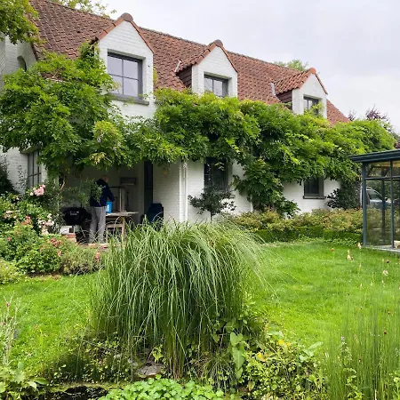 Bed & Breakfast Le Cocon Lasne