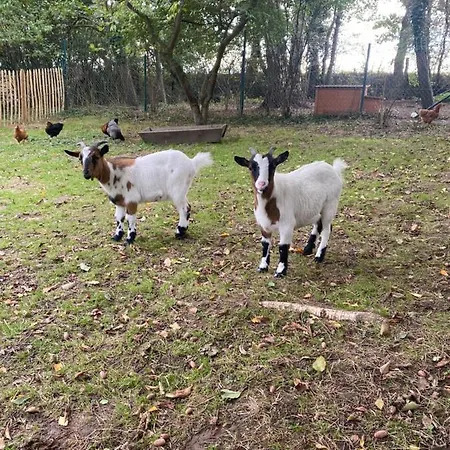Le 住宿加早餐酒店