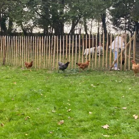 Le 住宿加早餐酒店 Lasne