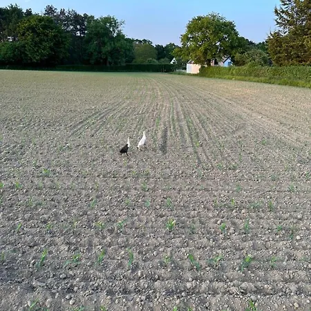 住宿加早餐酒店 Le